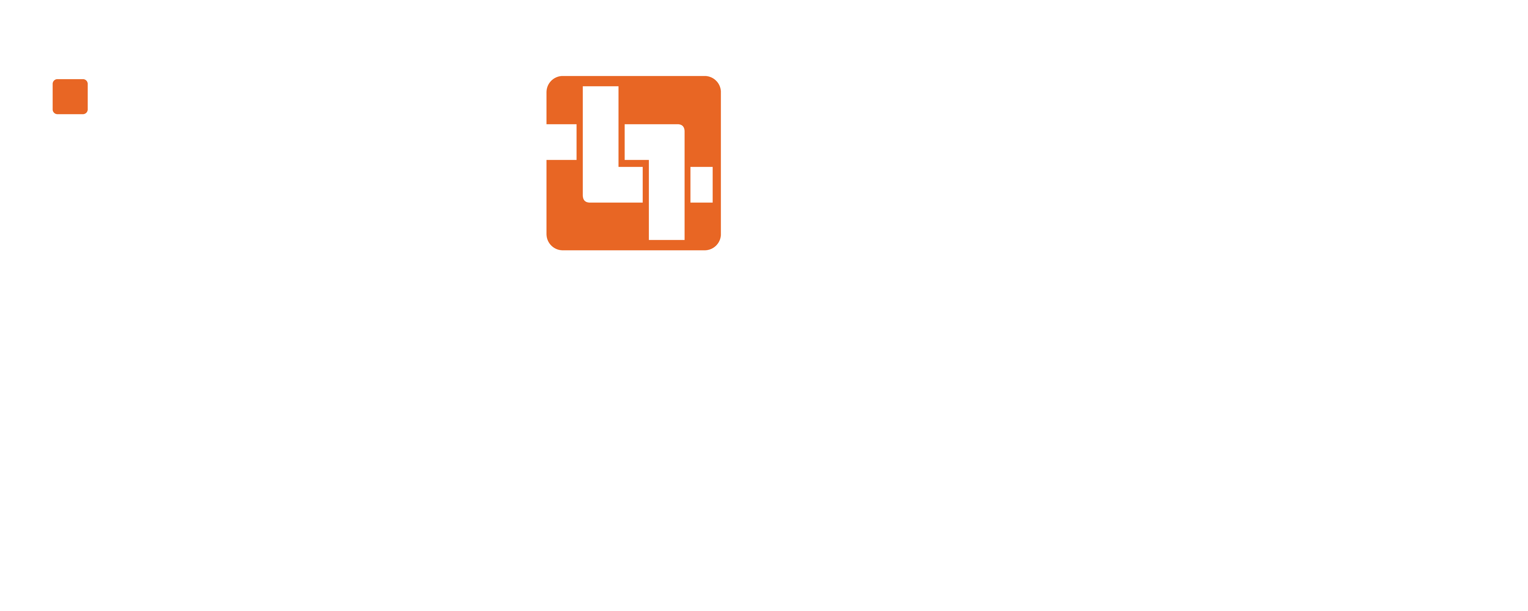 IDEA X-Check Logo White + Orange (1)