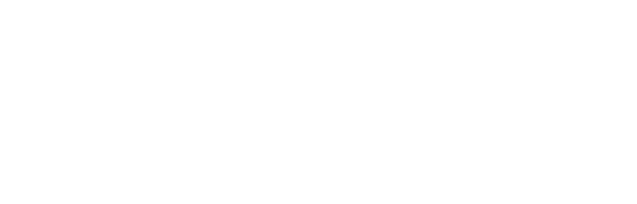 IDEA_Logo White